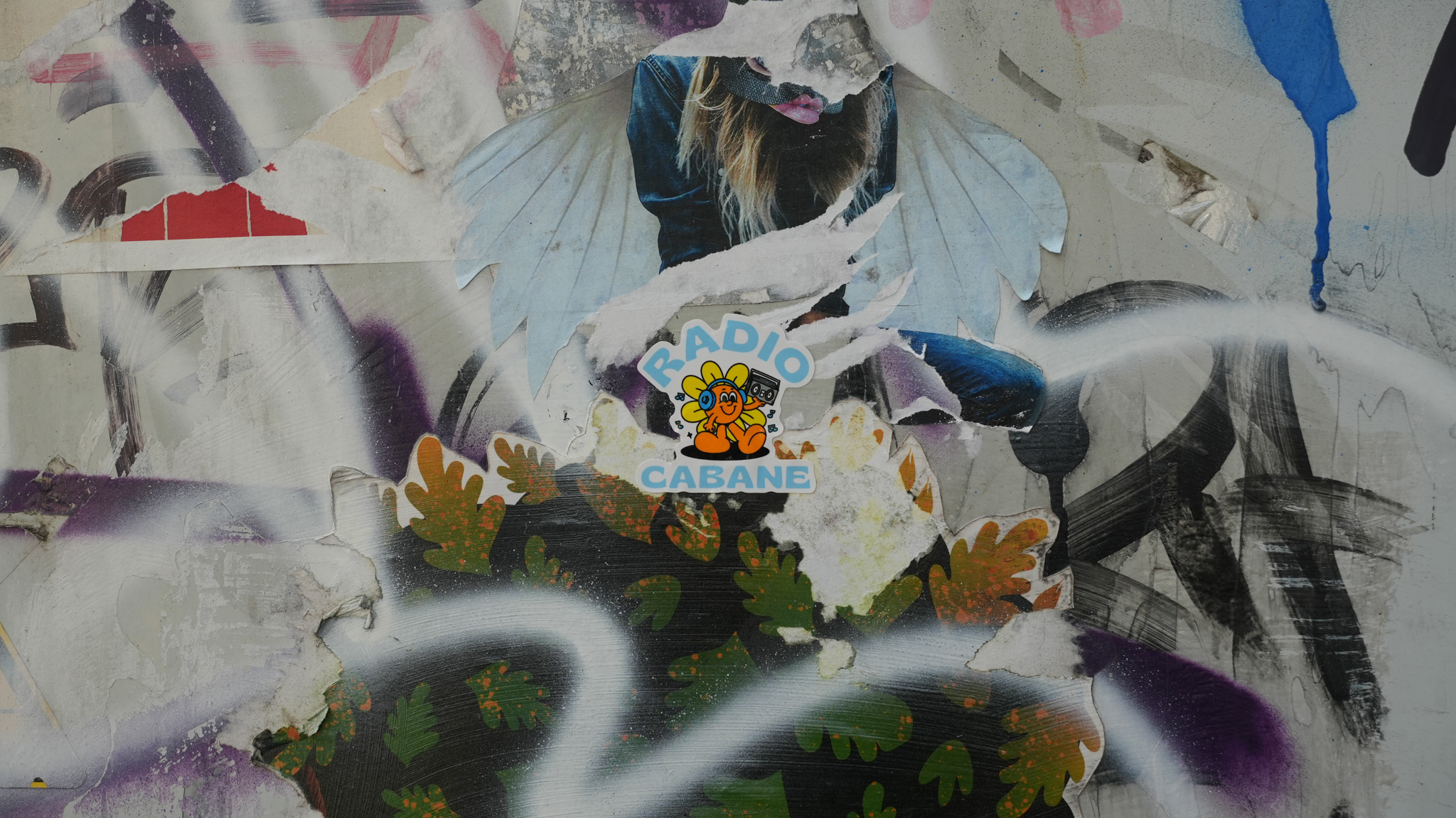 icon1